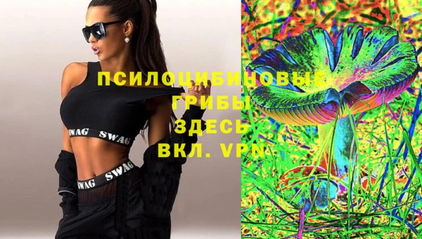 винт Аркадак