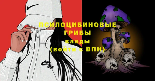 винт Аркадак